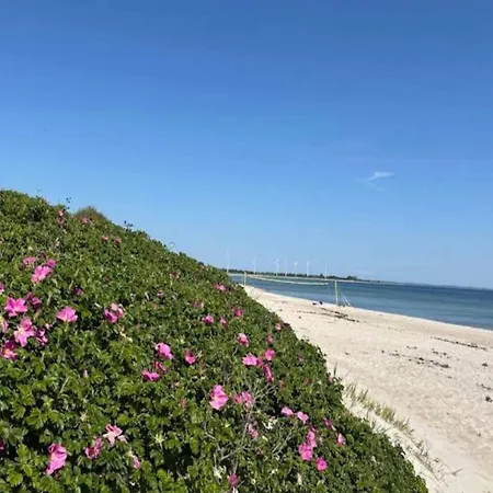 4 Star In Sydals-by Traum 度假居 *