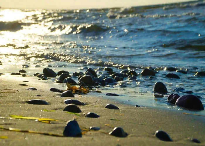 4 Star In Sydals-by Traum Ferienhaus *