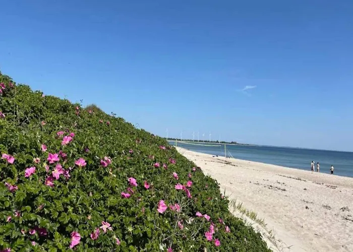 4 Star In Sydals-by Traum Ferienhaus *