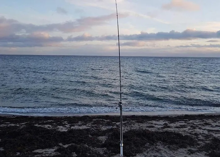 Ferienhaus 4 Star In Sydals-by Traum